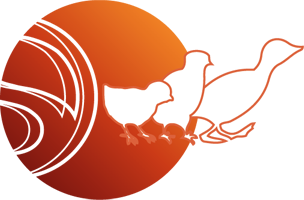 Icone Solubird